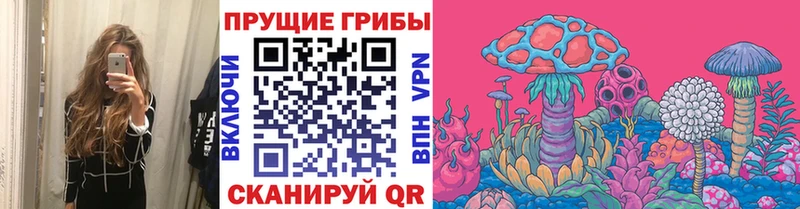 наркошоп  Йошкар-Ола  Псилоцибиновые грибы Psilocybine cubensis 